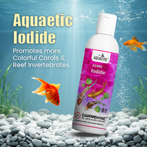 Aquaetic Iodide - Dawn-N-Shine