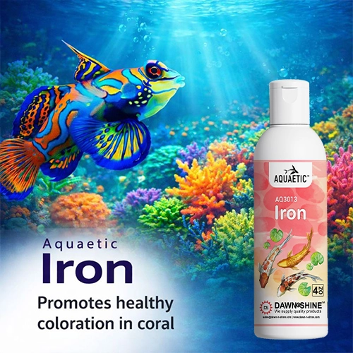 Aquaetic Iron - Dawn-N-Shine