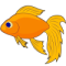 goldfish